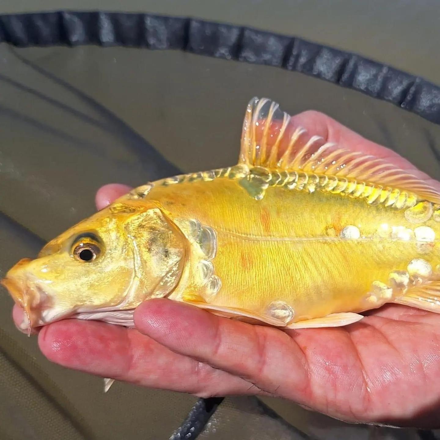 Lakeside Fishing Retreats Boston Kamer foto
