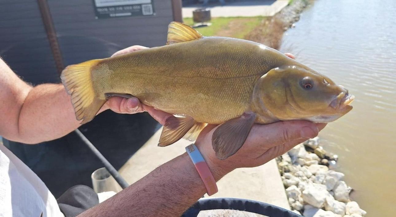 Lakeside Fishing Retreats Boston Kamer foto