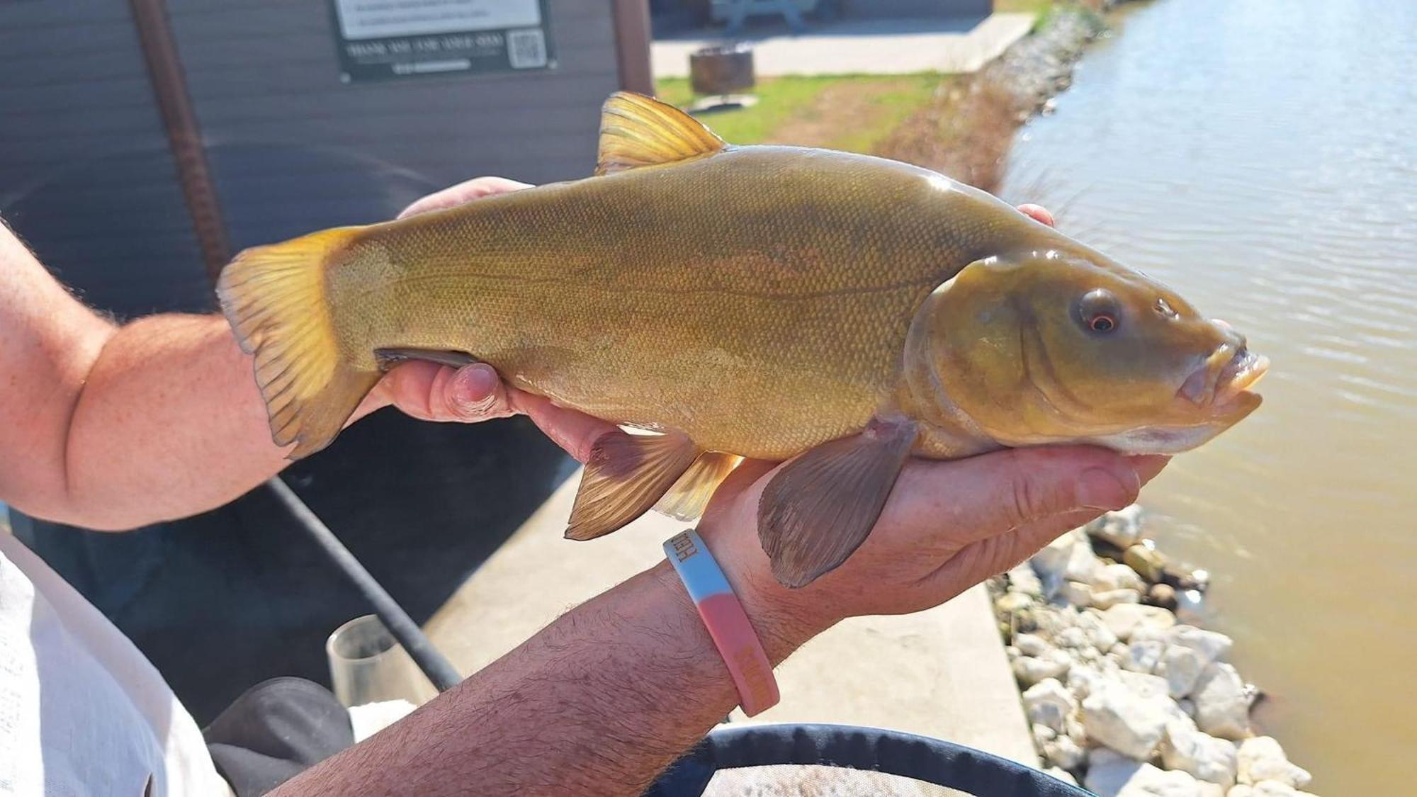 Lakeside Fishing Retreats Boston Kamer foto