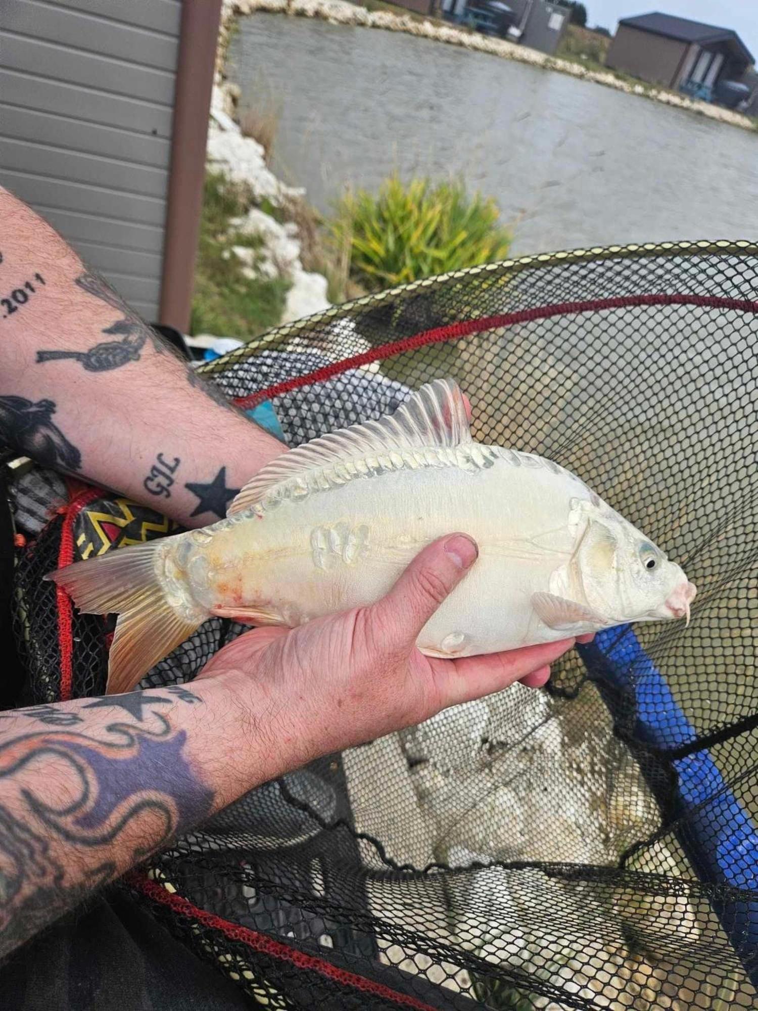 Lakeside Fishing Retreats Boston Kamer foto