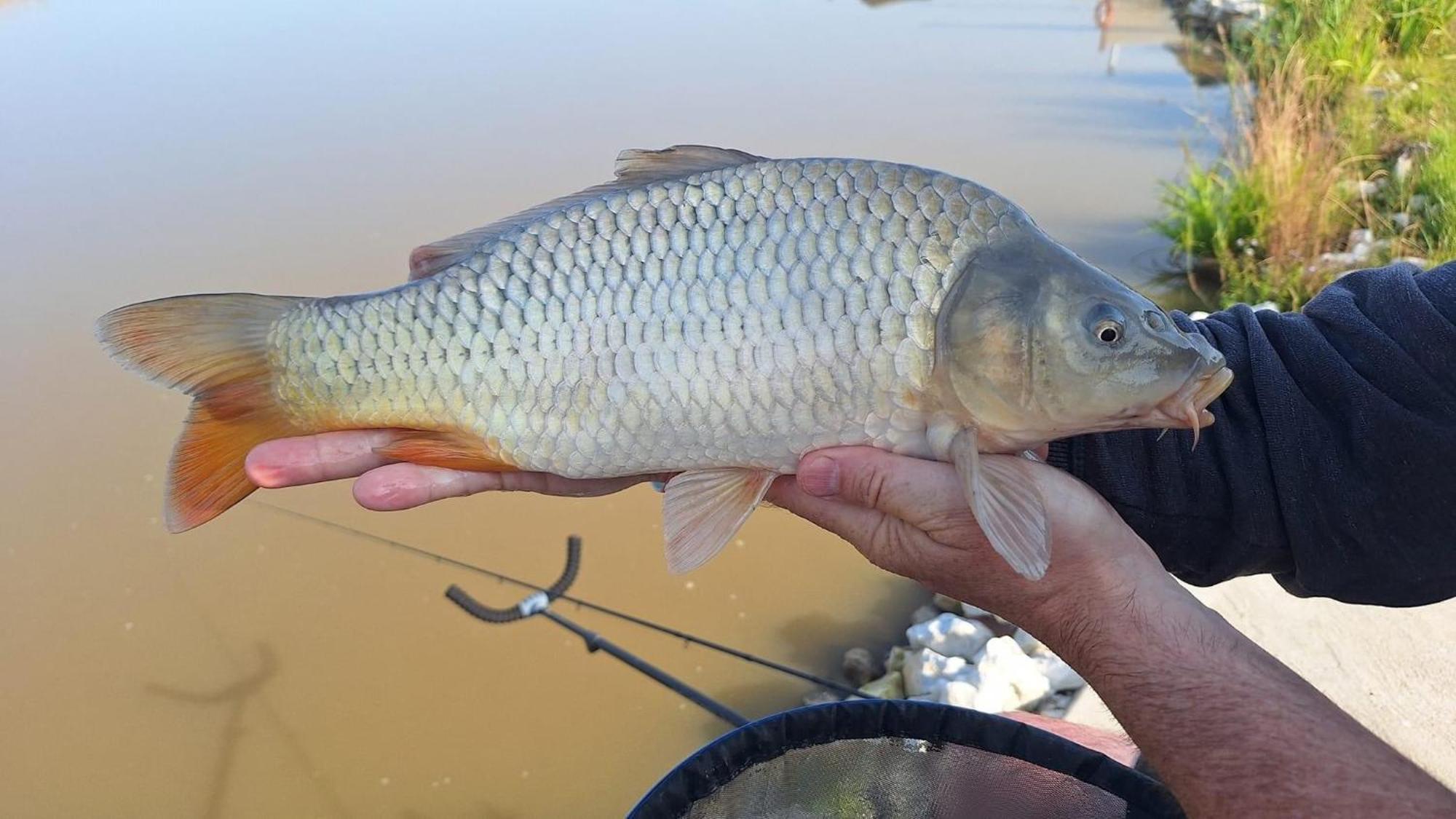 Lakeside Fishing Retreats Boston Kamer foto