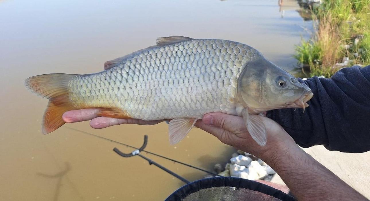 Lakeside Fishing Retreats Boston Kamer foto