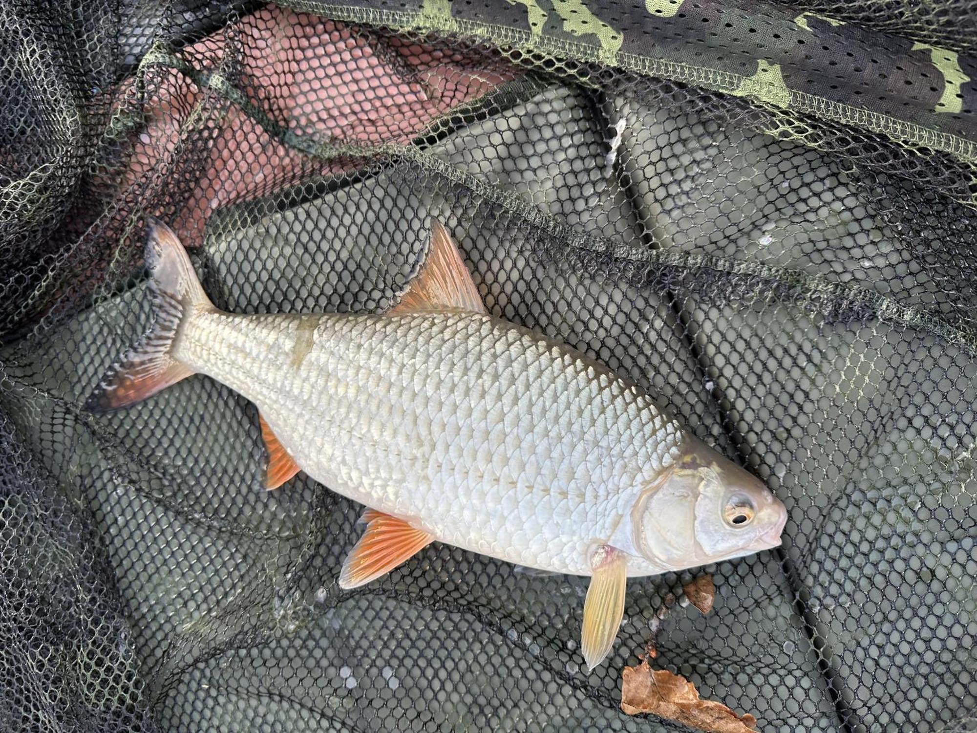 Lakeside Fishing Retreats Boston Kamer foto